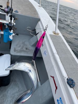 須磨沖明石沖ジギング