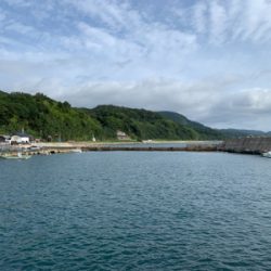 今季初エギング