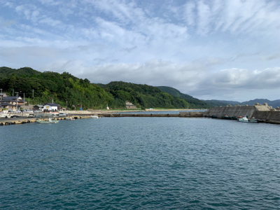 今季初エギング