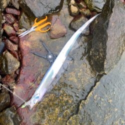 人混み避けて雨天決行