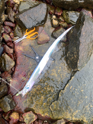 人混み避けて雨天決行