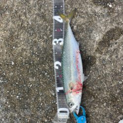 ショアジギング