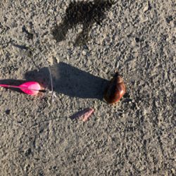 台風が過ぎたので