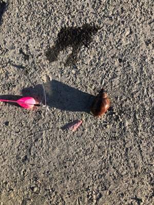 台風が過ぎたので