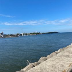 太刀魚、サビキ、ちょい投げ