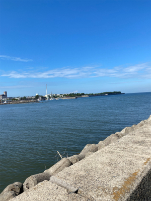 太刀魚、サビキ、ちょい投げ