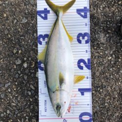 5度目にようやく！