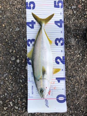 5度目にようやく！