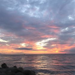 ショアジギング