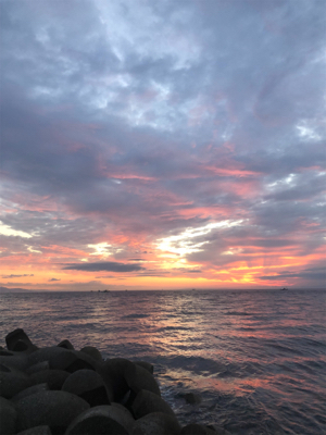 ショアジギング