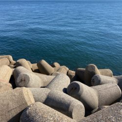 エギの選択でアオリGET＼(^o^)／