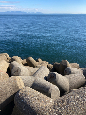 エギの選択でアオリGET＼(^o^)／