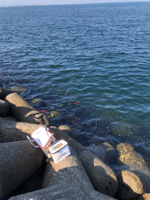 エビ撒き釣り&時々エギング