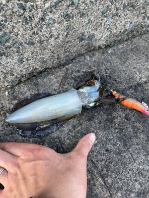 2人で4杯　しぶかった。