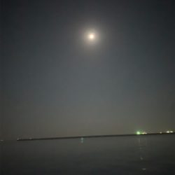 お祭り騒ぎに参加したけど…