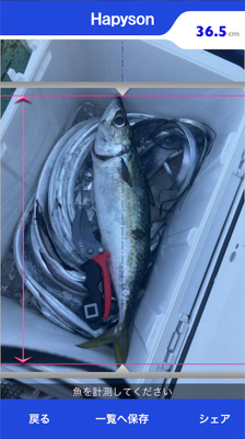 テンヤタチウオ