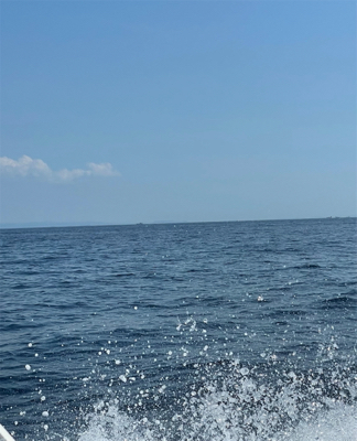 初魚種2種追加!!