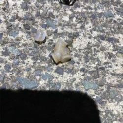 何とか1杯　坊主は免れた