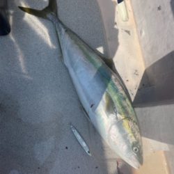 舞鶴沖スローピッチジャーク