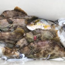 色々釣れました