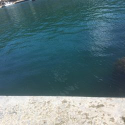 台風が来る前に