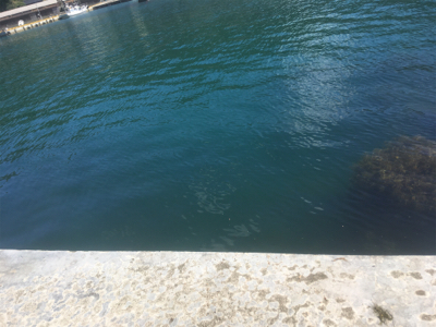 台風が来る前に