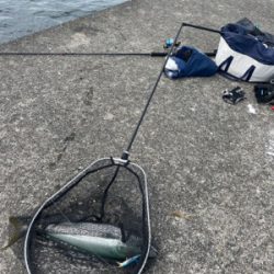 ショアジギング