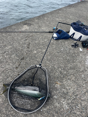 ショアジギング