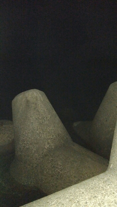 障泥烏賊4杯！キジハタ1匹！