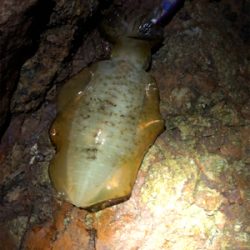 台風ウネリで苦戦