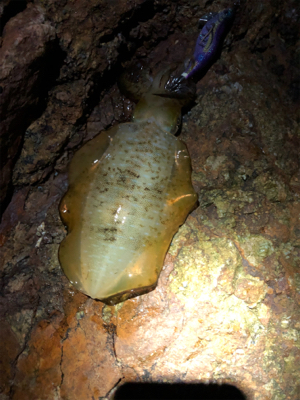 台風ウネリで苦戦