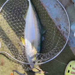 淡路島で落とし込み