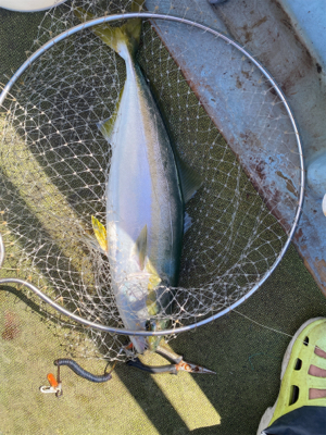 淡路島で落とし込み