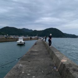 日本海エギング