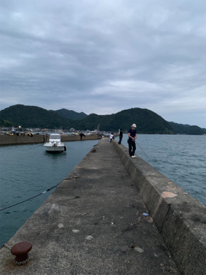 日本海エギング