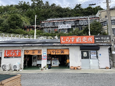 はじめての和歌浦漁港