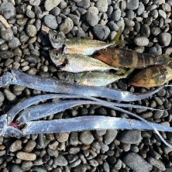 ロマンを求めて