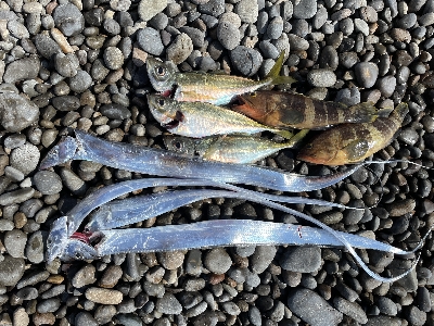 ロマンを求めて