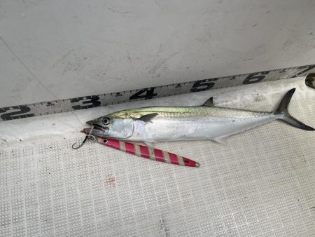 マイボート釣行