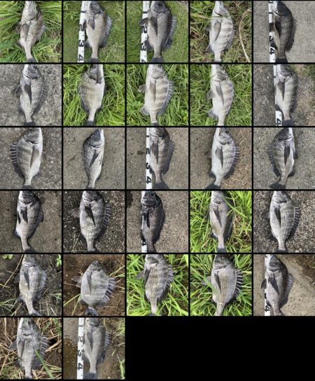 イチノ兄弟、釣果！