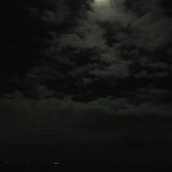 第二回アナゴ祭りのはずが…