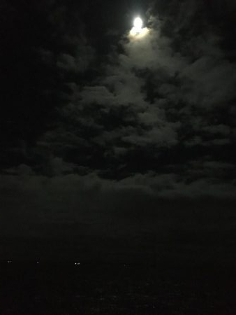 第二回アナゴ祭りのはずが…