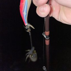 今日、風吹く予報?