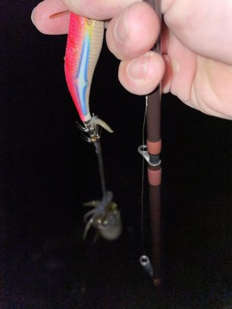 今日、風吹く予報?