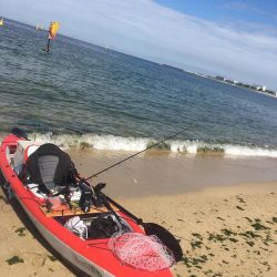 カヤックで初の獲物