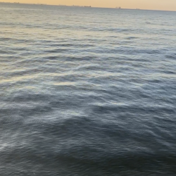 ジグサビキででアジ釣り