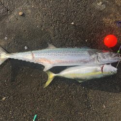 早起きは三文の得