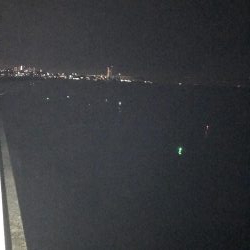 シーズン初タチ