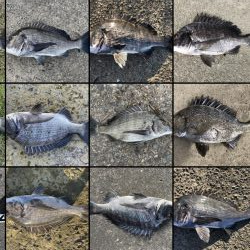 イチノ兄弟、釣果!