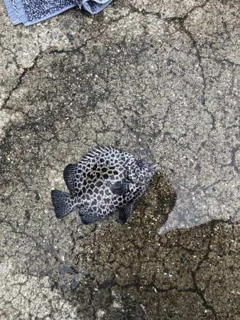 太刀魚遠征3回目